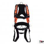 هارنس ایمنی هارو